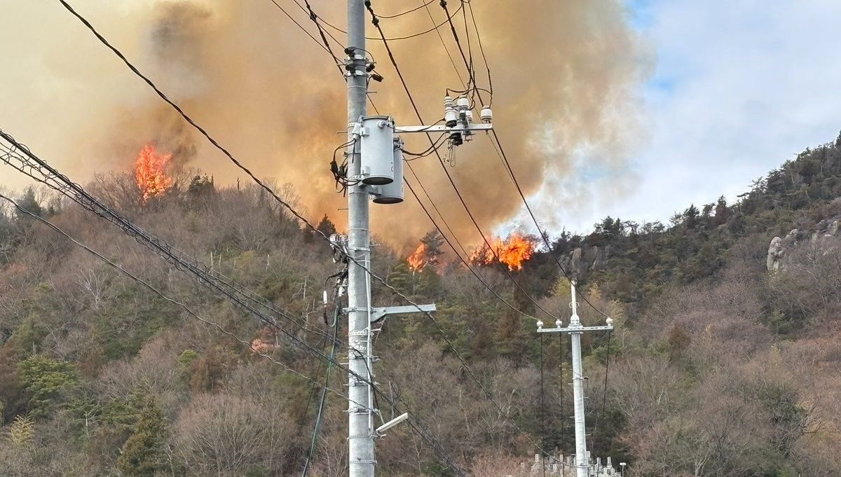 Japonya’da orman yangını