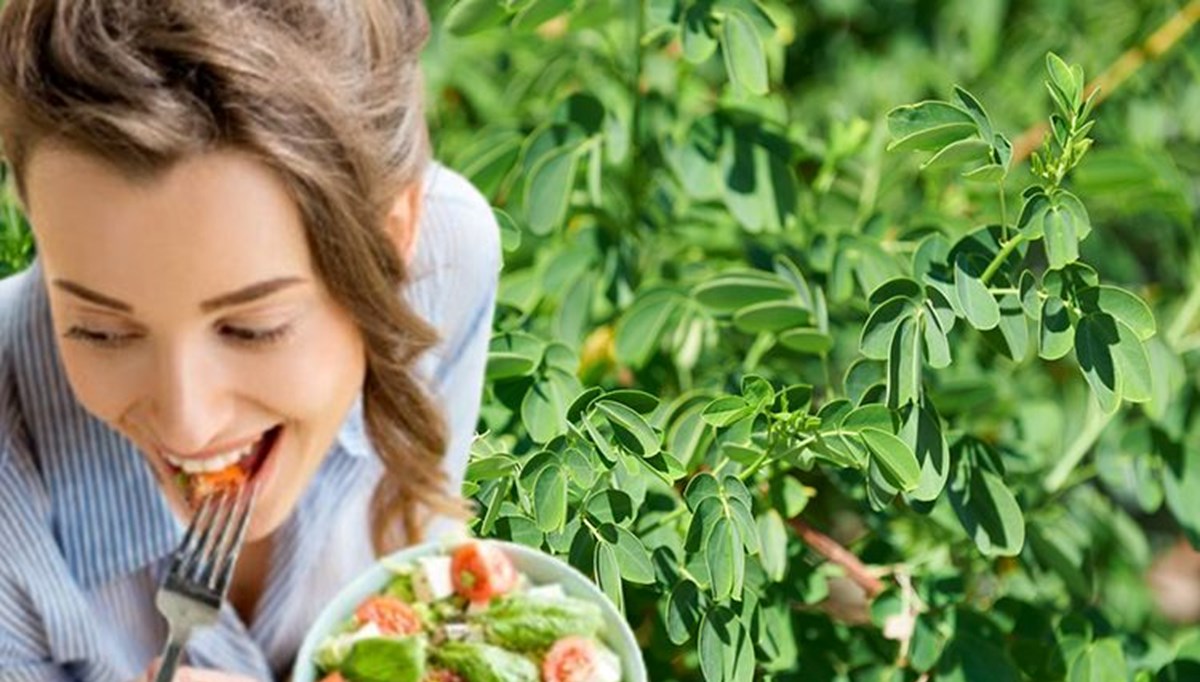 2024'ün trendi haline geldi: Portakaldan 20 kat daha fazla C vitamini içeriyor 2024'ün trendi haline geldi: Portakaldan 20 kat daha fazla C vitamini içeriyor