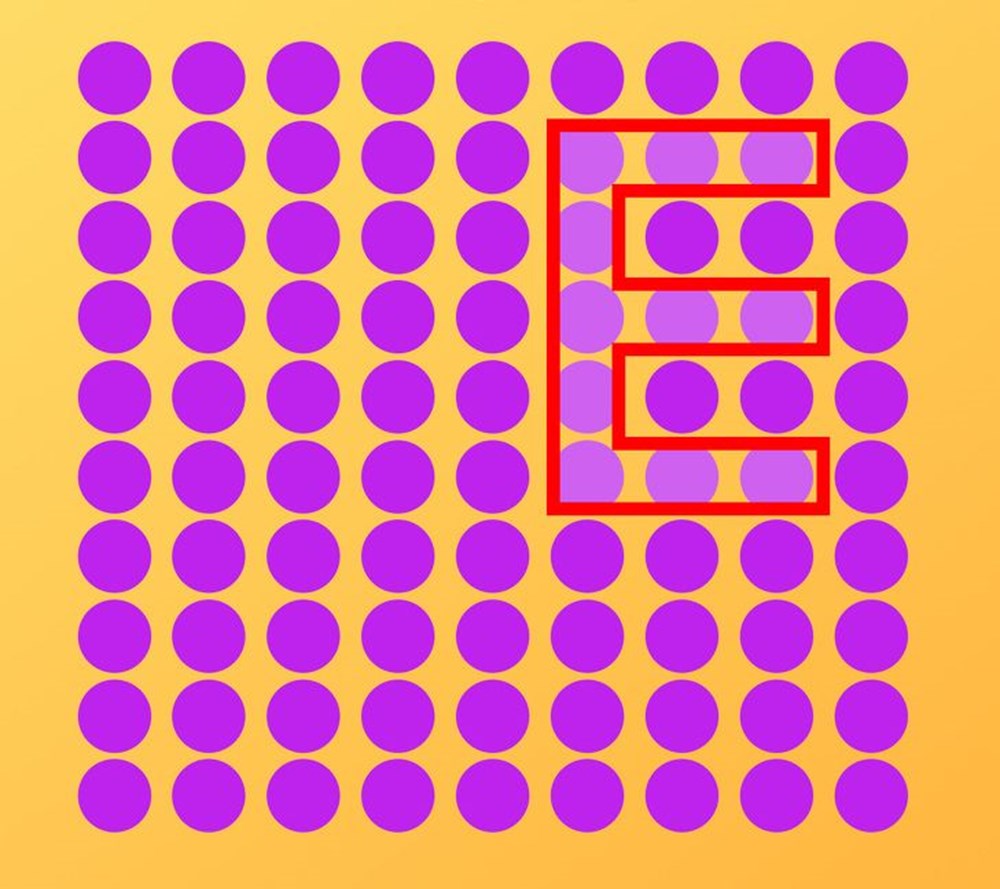 Bu görsel size kim olduğunuzu söylüyor: Resimde ilk önce hangi hayvanı gördünüz? - 91