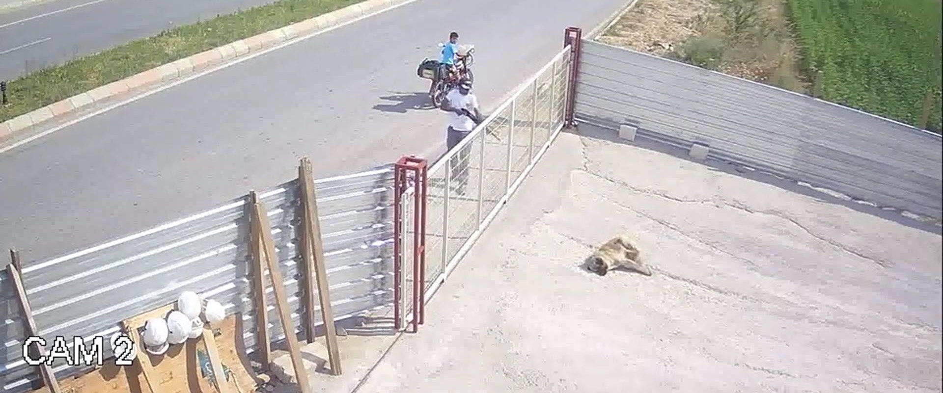 Отец отомстил за сына. Уронил с качелей в челнах. Отец отомстил за сына. Отец отомстил за сына. Отец отомстил за сына.