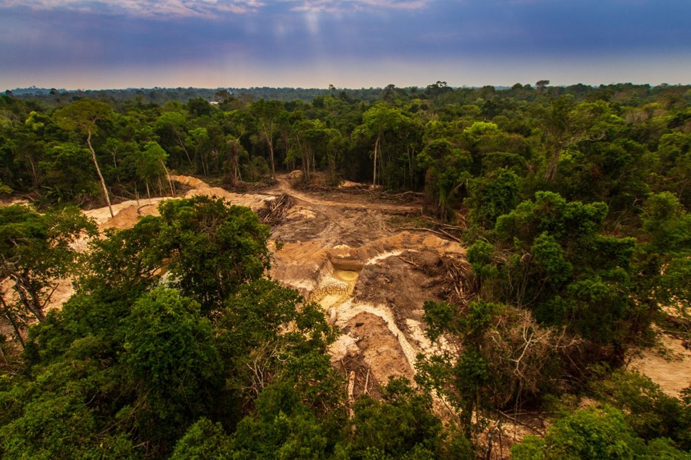 Amazon’daki ormansızlaşma bir yılda yüzde 25 arttı - 9