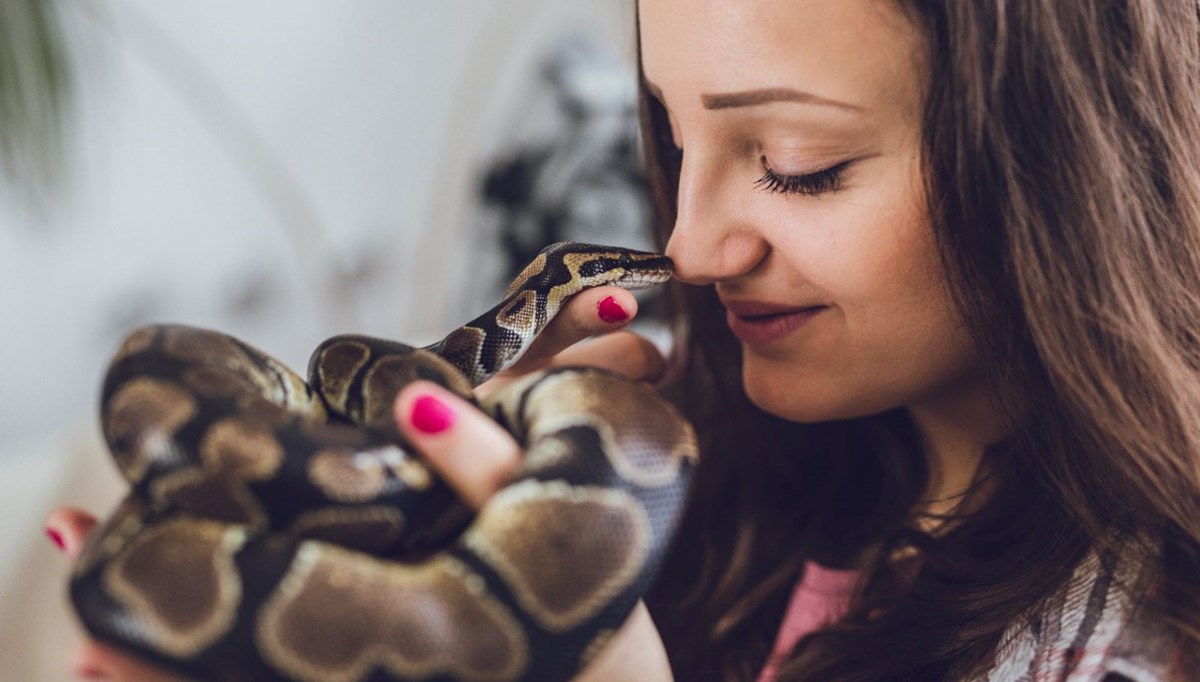 Rüyada yılan görmek ne anlama gelir? Rüyada yılan görmenin anlamı nedir?