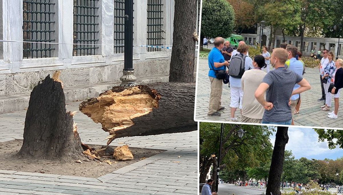 Sultanahmet’te ağaç devrildi, turistler son anda kurtuldu