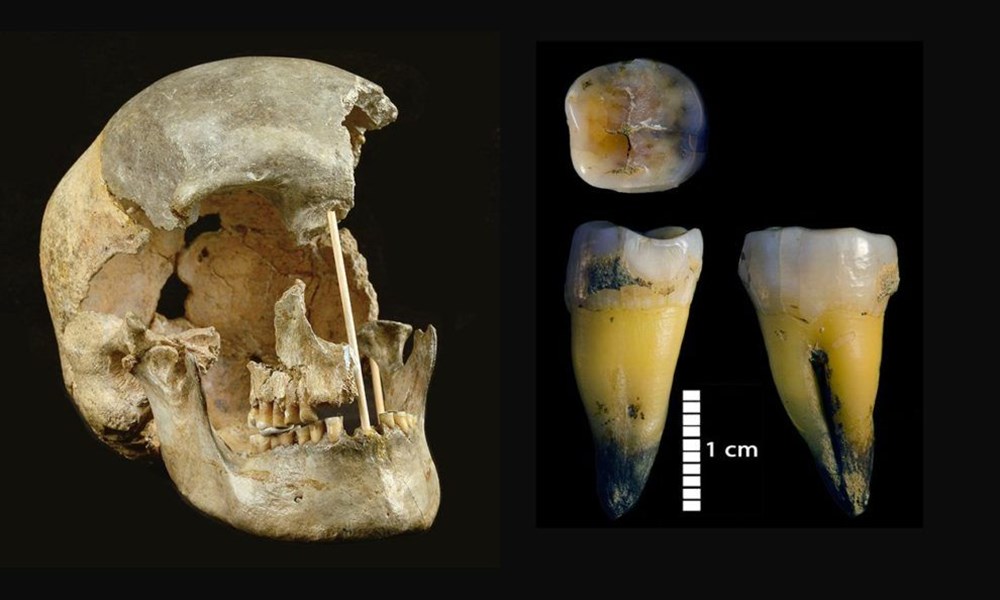 Modern insanlara ait en eski DNA bulundu: 45 bin yaşında - 4