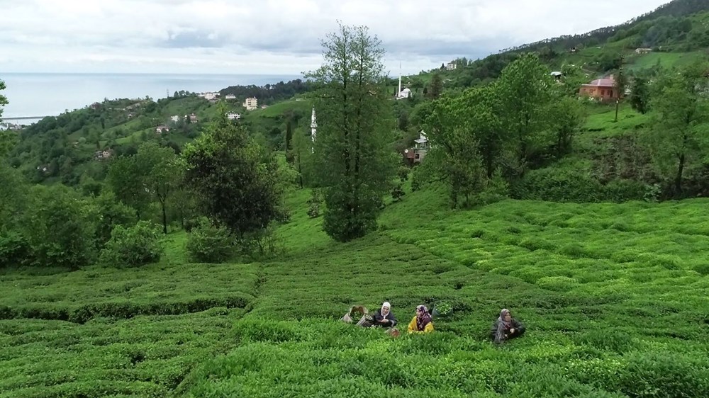Uzmanlardan Karadeniz'de iklim değişikliği uyarısı: Sel ve heyelanlar artacak - 10