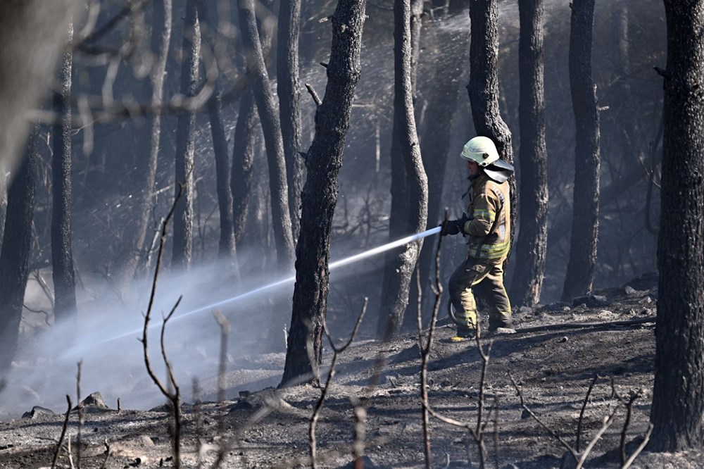 İstanbul Maltepe'de orman yangını - 17