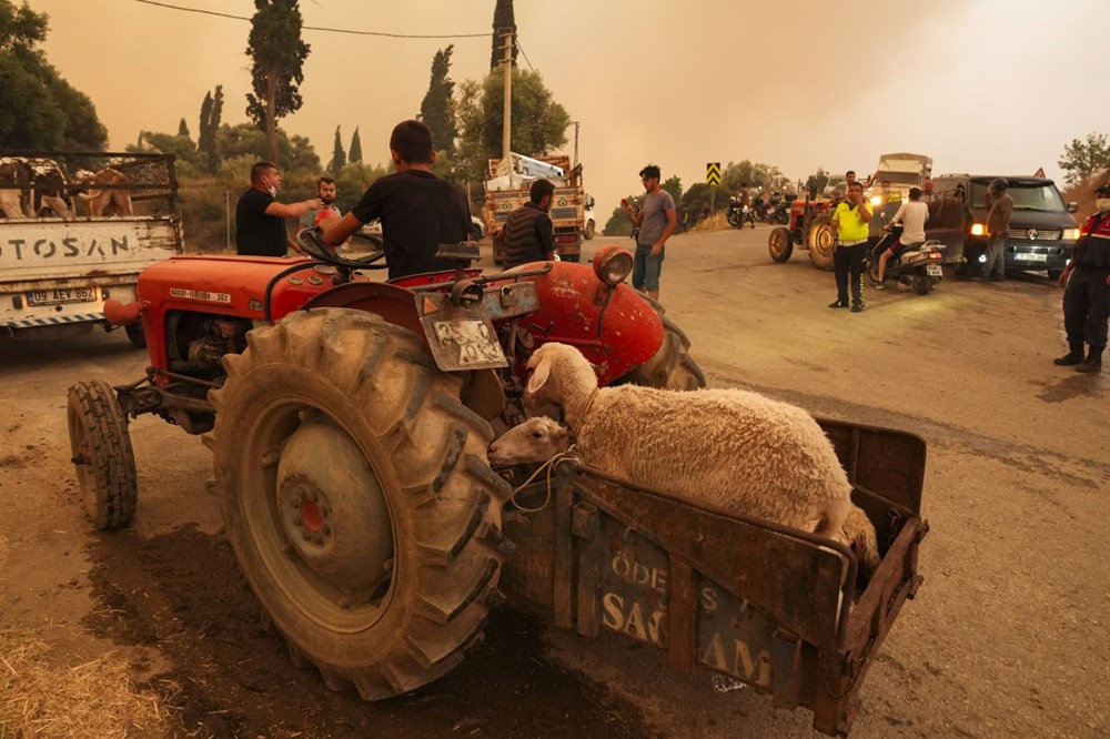 Ödemiş, Buca ve Çeşme'de son durum: İzmir'de ormanlar sabaha kadar için için yandı - 4