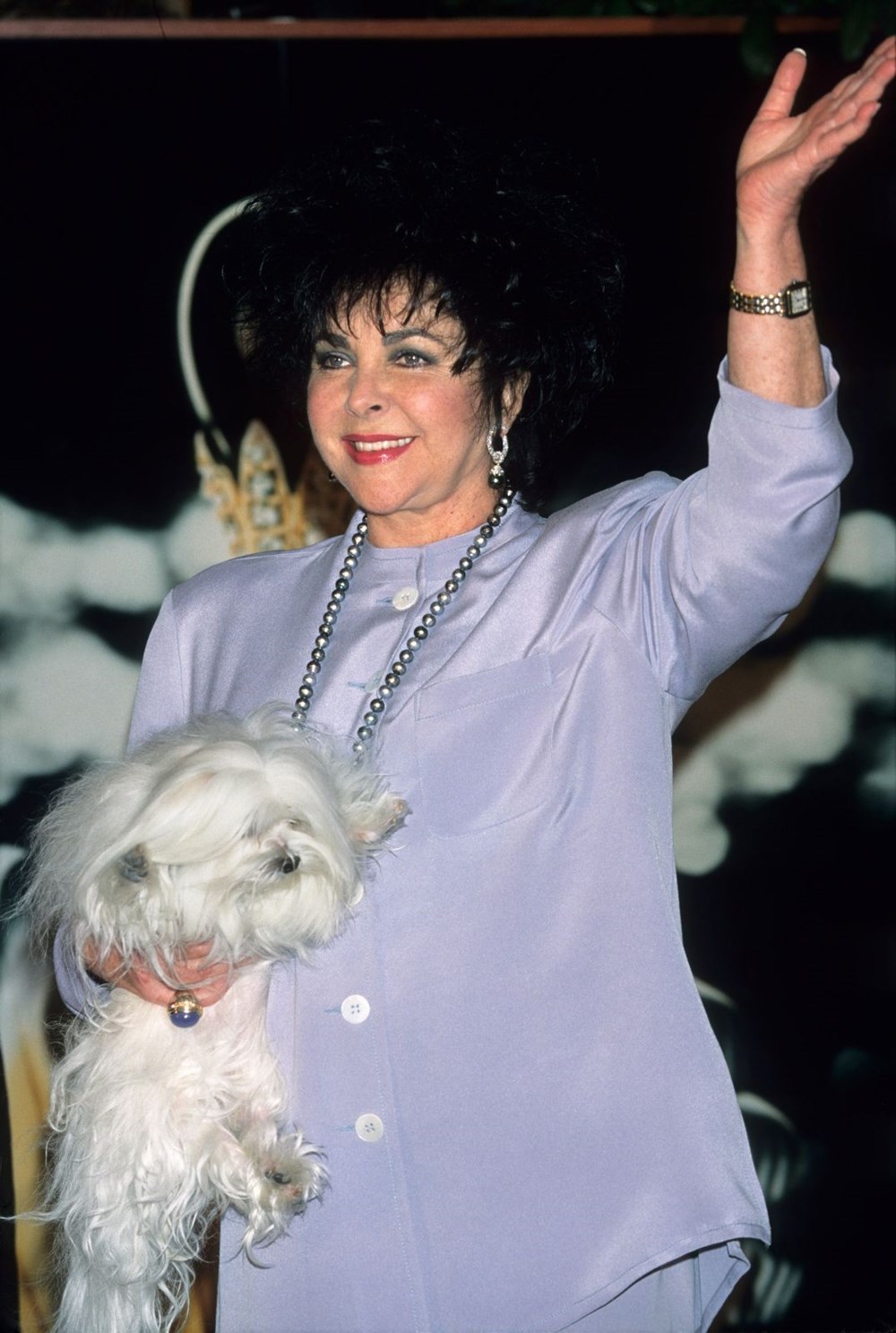 90. doğum gününde Elizabeth Taylor hakkında 10 bilgi - 5