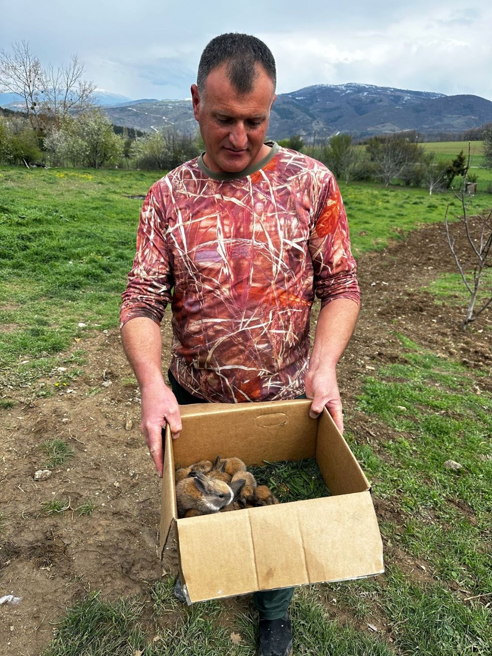 Yürek ısıtan anlar: Kangal köpeği, anneleri ölen 7 tavşanı emzirdi 75 aJ18ftinWEKIP44AXw2jtQ