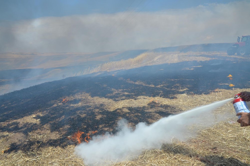 Diyarbakır’dakiarazi katliamından aylar sonra yeni görüntüler: Ellerinde silahlarla yaralılarınyerini gösterdiler - 2