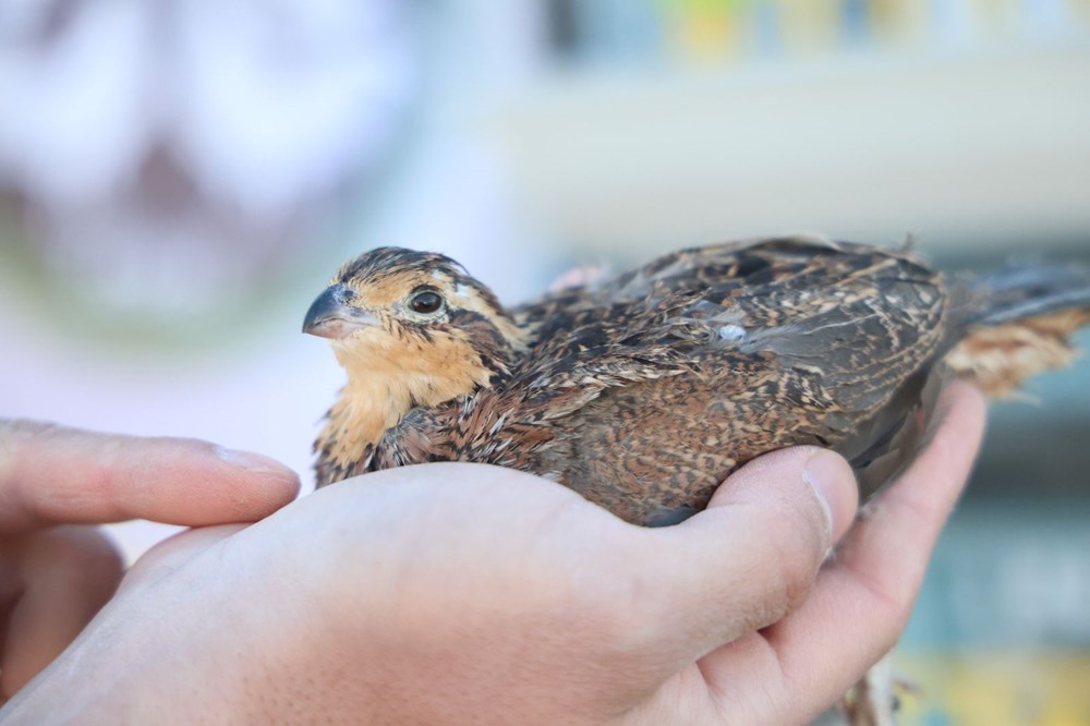 aJcWnofDZUWKopBgLkHPyA