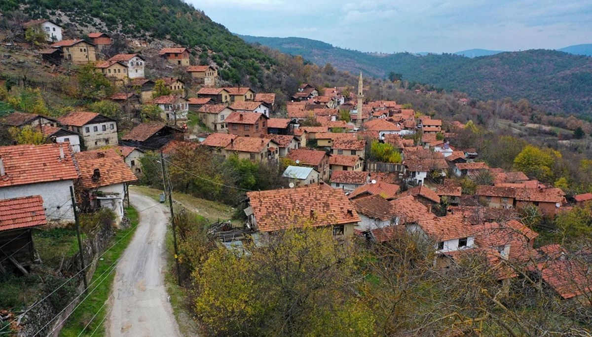 Orman köylülerine sağlanan desteklere düzenleme Orman köylülerine sağlanan desteklere düzenleme