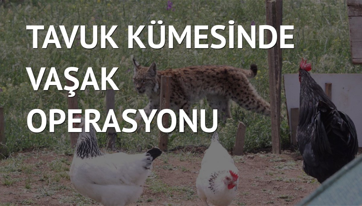 Balıkçı ağıyla yakalandı