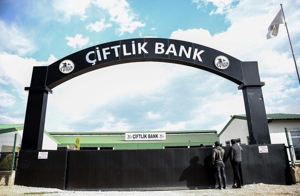 Çiftlik Bank kurucusu Mehmet Aydın kimdir? (Brezilya'da teslim oldu) - 2