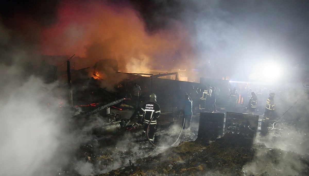 Mandıra yandı, 100'den fazla kuzu öldü