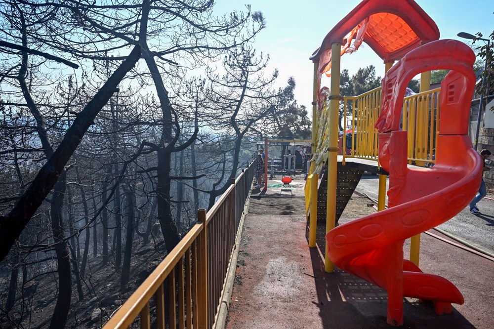 İstanbul Maltepe'de orman yangını - 25