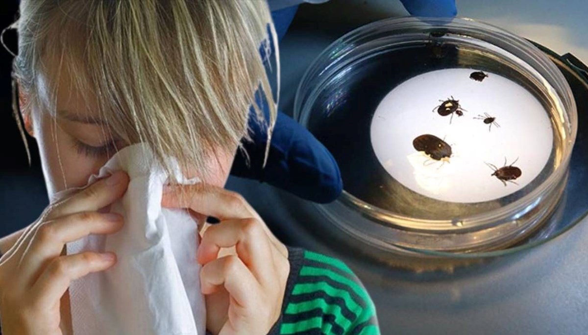 KKKA ile grip nasıl ayırt edilir?