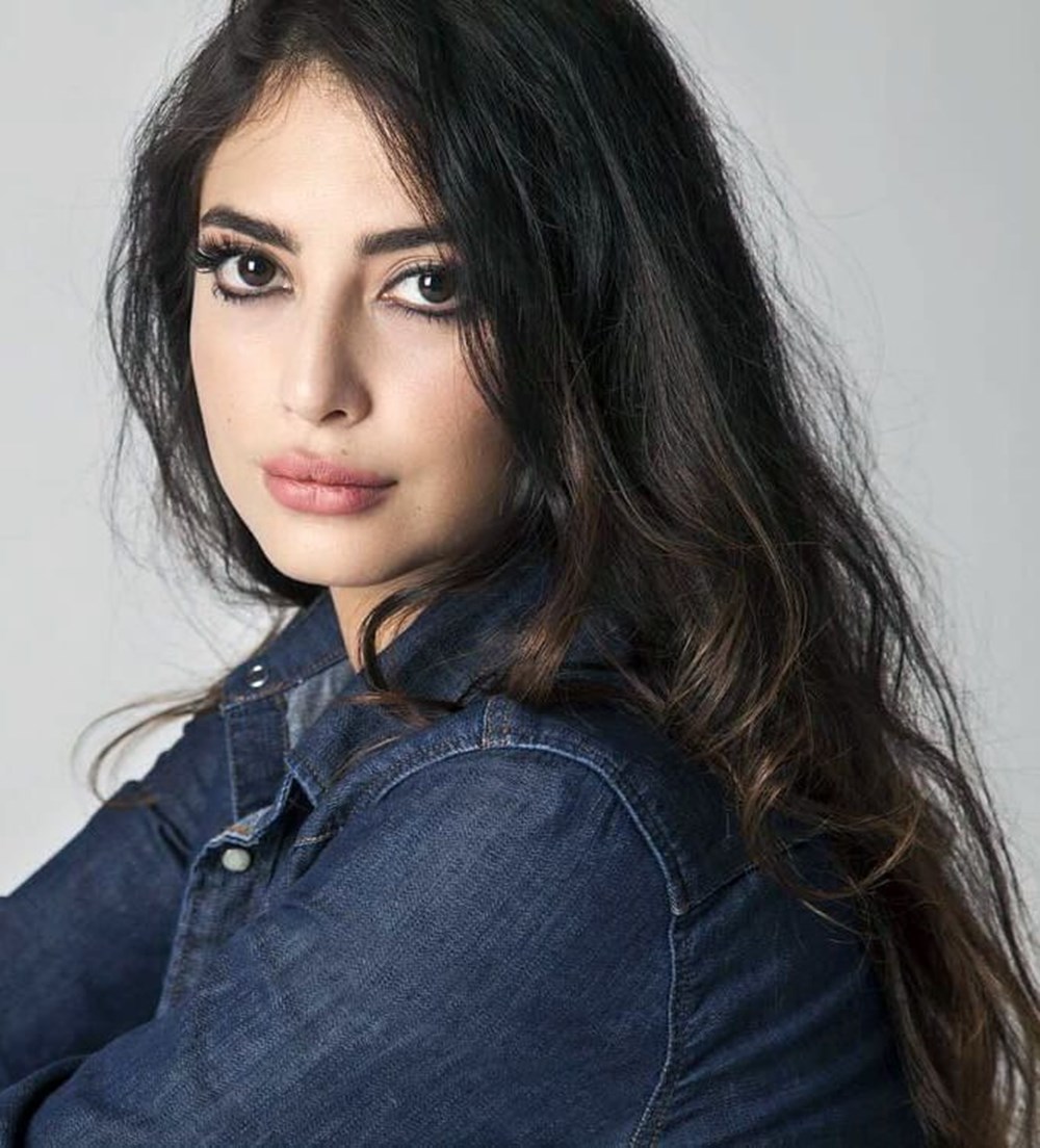 f9 izle sarina ne demek