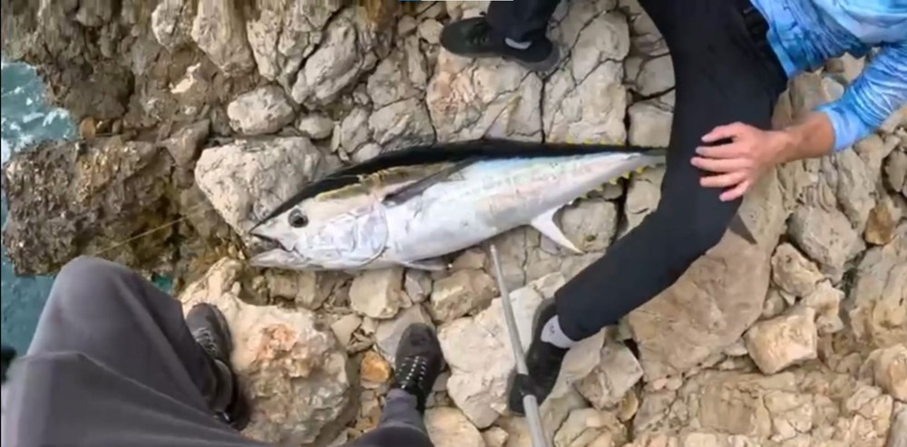 Saros’ta Dev Mücadele: 30 Kiloluk Balıkçı Zaferi! 75 aOAYTkYkZUKm pBULUUbuQ