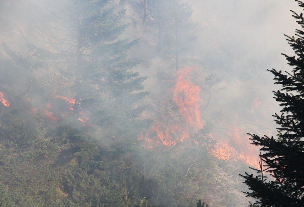 Kastamonu'daki yangın 4 gündür söndürülemiyor - 8