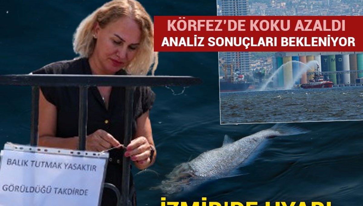 Körfez'da amatör balıkçılara avlanma yasağı Körfez'da amatör balıkçılara avlanma yasağı