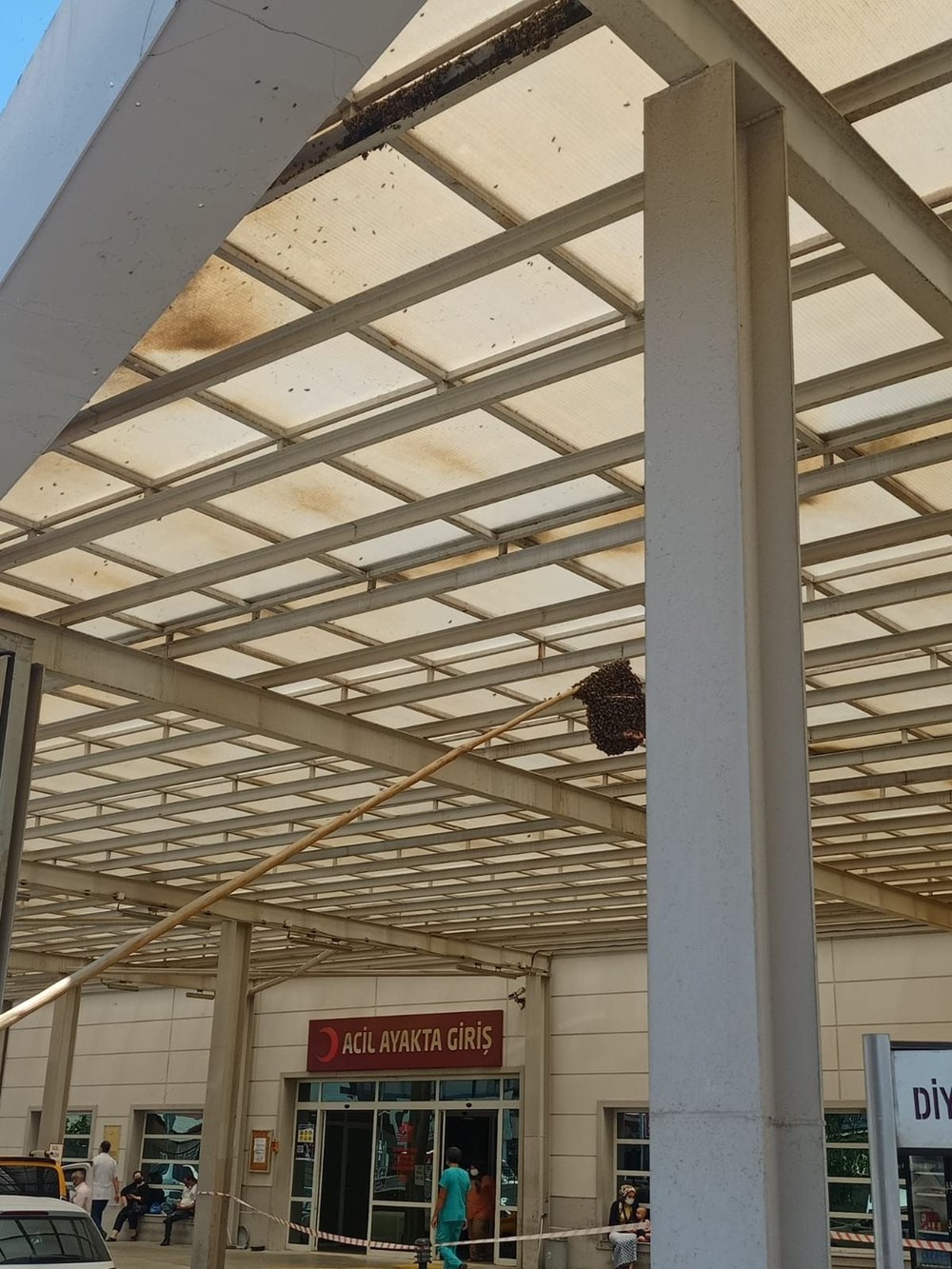 Hastanede panik: Acil servisi arılar bastı - 6