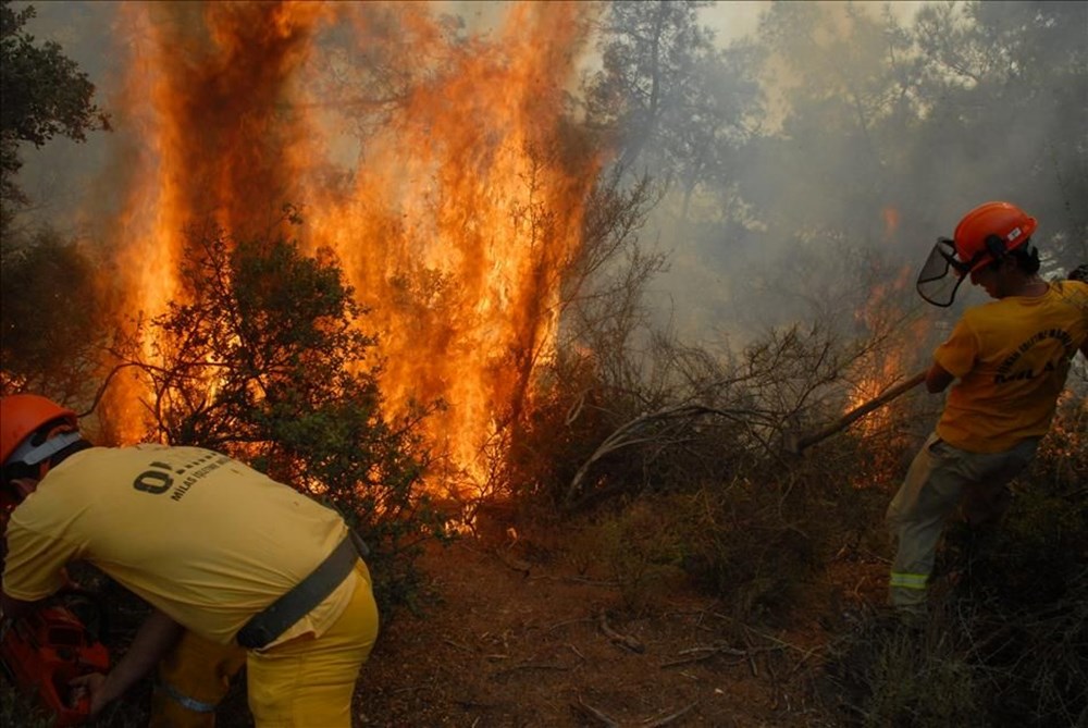 Çanakkale ve Muğla'da orman yangını: Gelibolu'da alevler büyük ölçüde kontrol altında - 6
