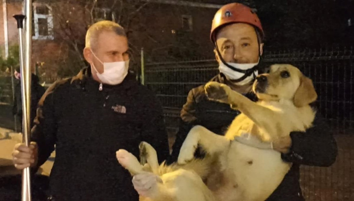 Balkonda mahsur kalan köpek kurtarıldı