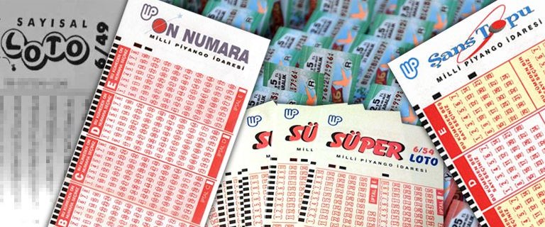 Nanum lotto shop 842