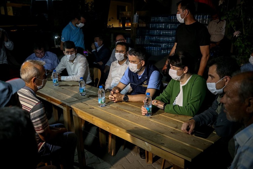 Gelibolu Yarımadası'nda orman yangını - 9