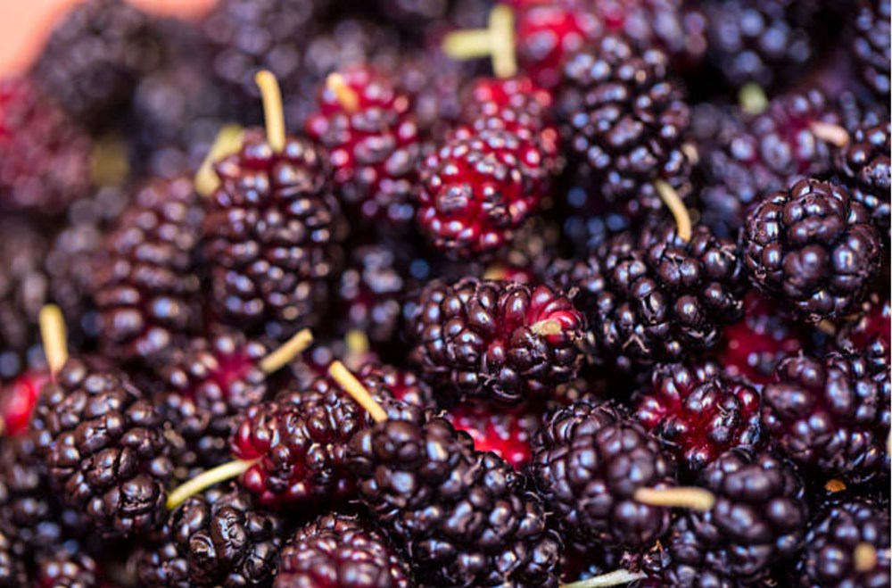 Meyve ve sebzeler hangi vitaminleri içeriyor? Meyve ve sebzeler hangi vitaminleri içeriyor? (Meyve ve sebzelerin besin değerleri) - 6