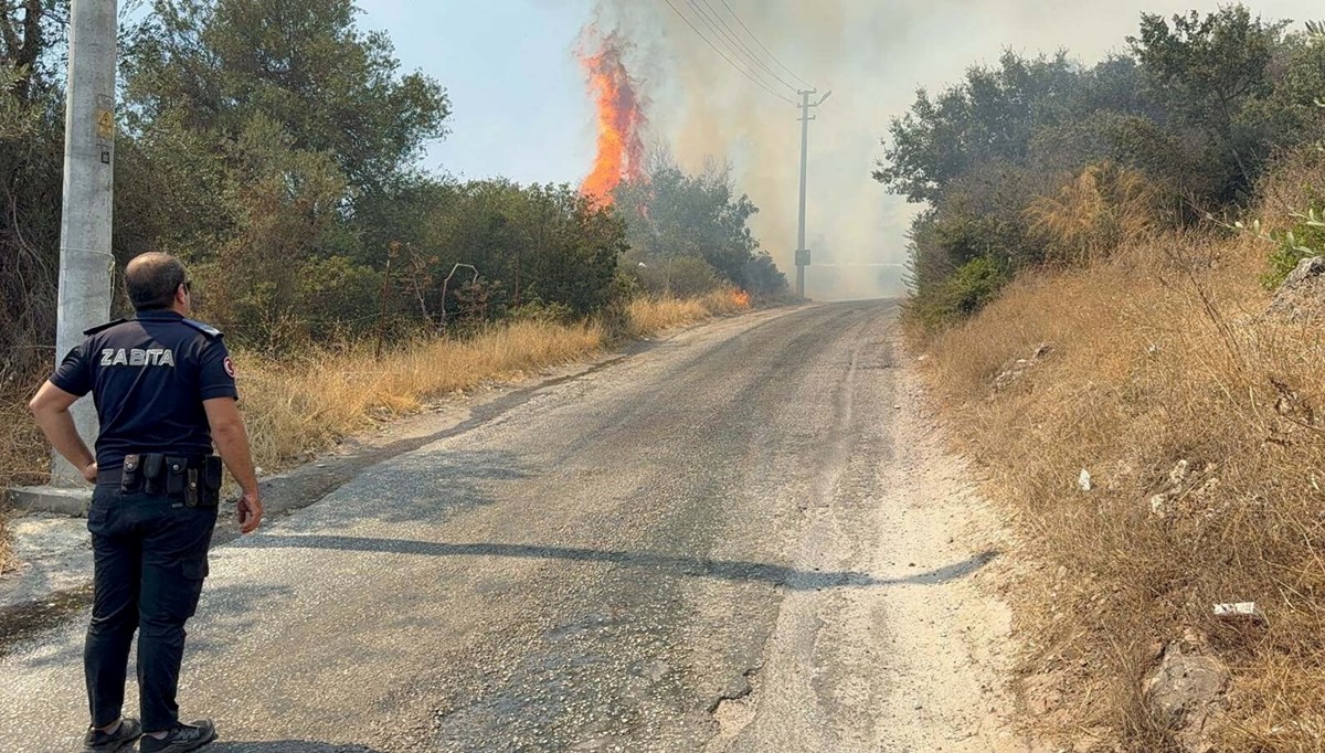Bodrum'da makilik alanda yangın