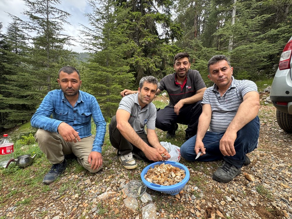 Tabiatta kendi kendine yetişiyor, halk ortasında "göbelek" deniliyor: "Altın bulsak bu kadar sevinmeyiz" 74 aUWaPZOjKU fMpnRrOpnAg