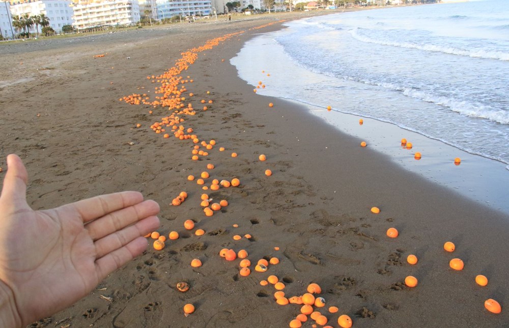 Mersin'de sahile portakal vurdu - 2