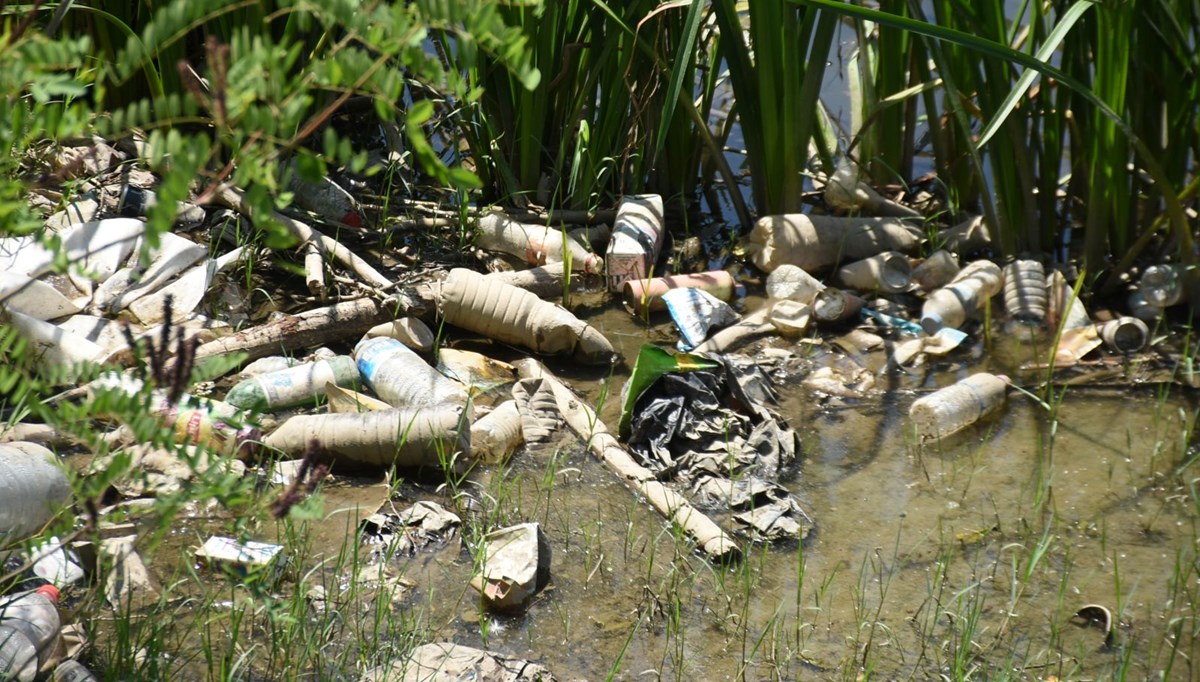 Tunca Nehri atıklarla çöplüğe döndü