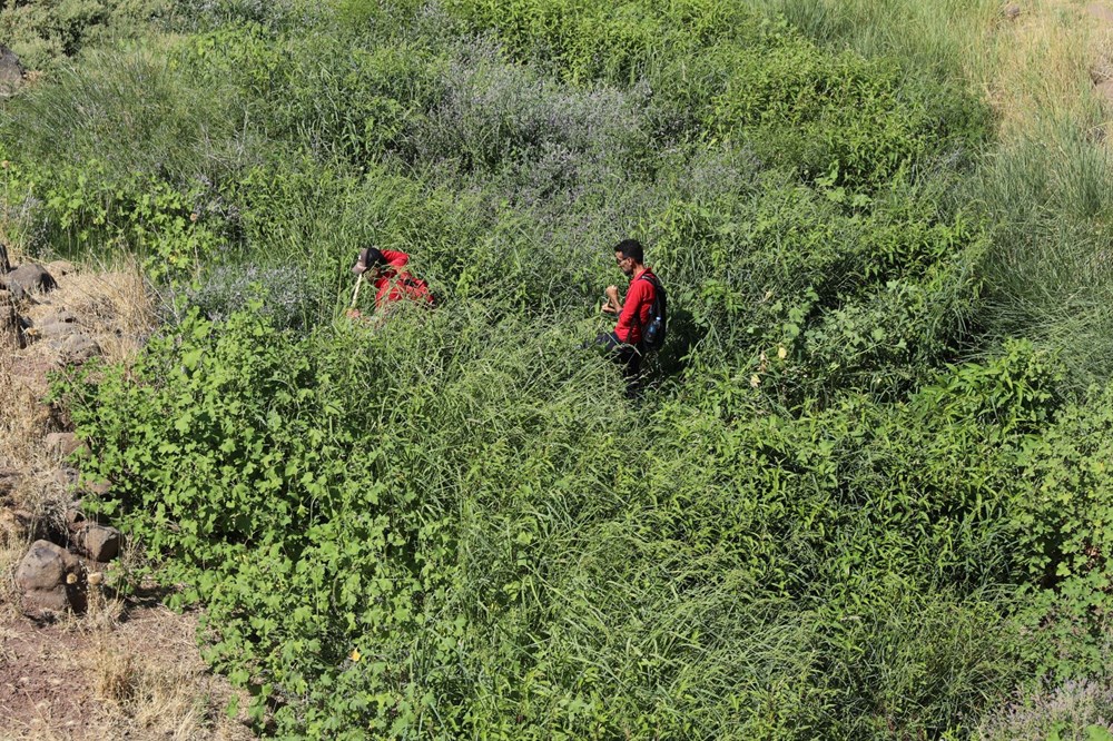 Kayıp Narin bulundu mu? Narin Güran'ı arayan ekipler ikiye ayrıldı (Narin'i arama çalışmalarında son durum) - 8