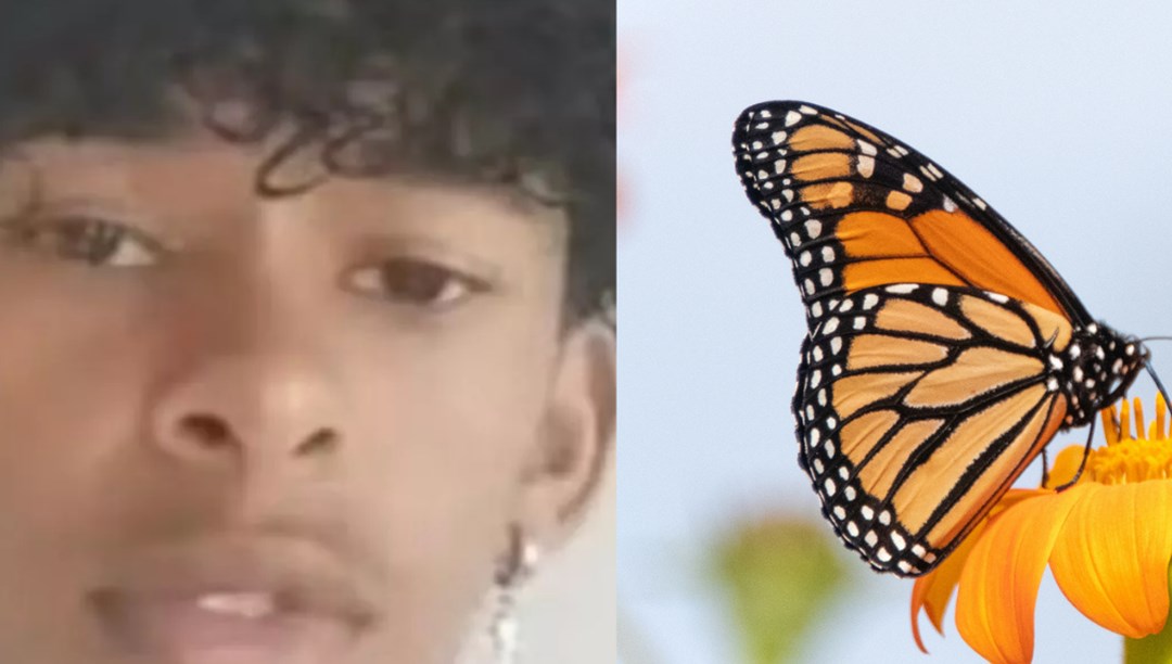 14 yaşındaki çocuk "meydan okuma" yüzünden canından oldu: Kendisine kelebek enjekte etti