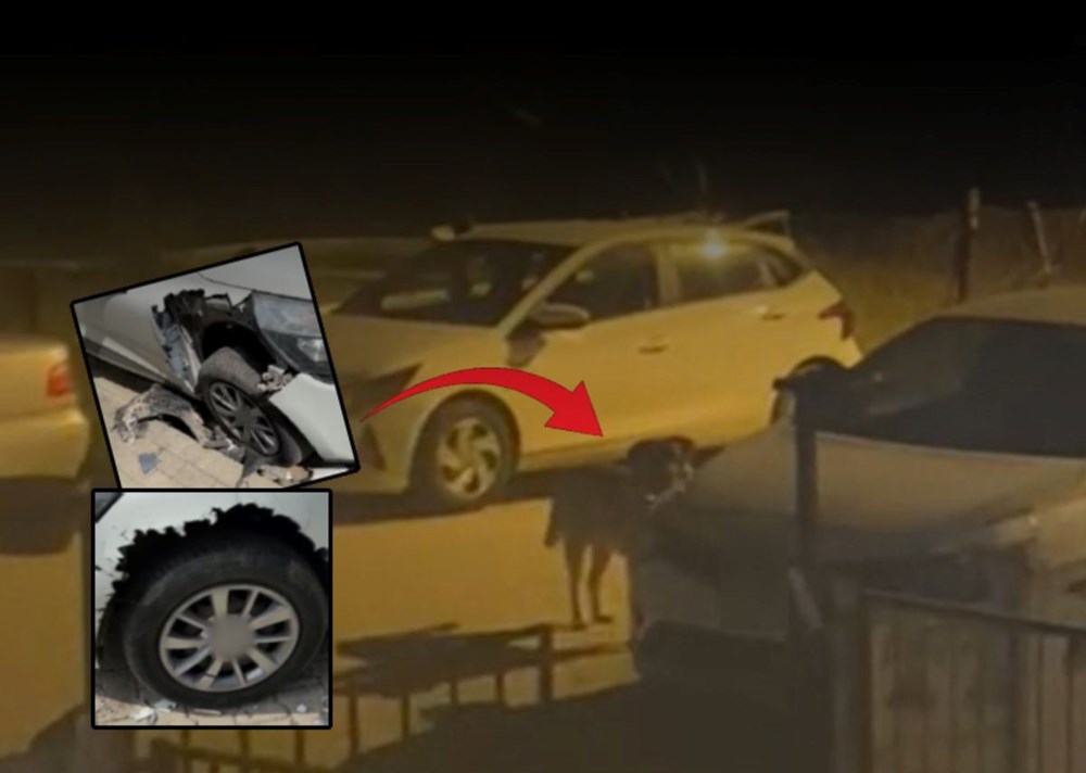 Sokak Köpekleri Araba Canavarına Dönüştü: Mağdur Belediyeye Tazminat Davası Açtı 80 aa9U9JjkEE Ovu60M IV7g