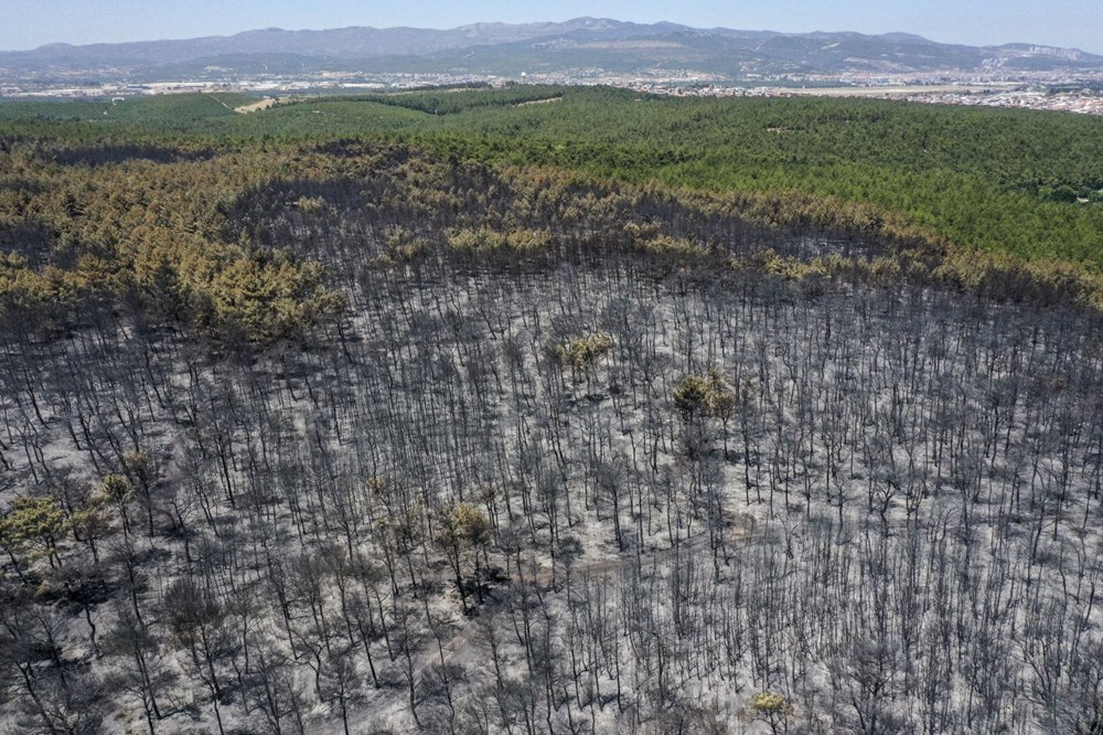 Buca'nın iki katı alan yandı - 4