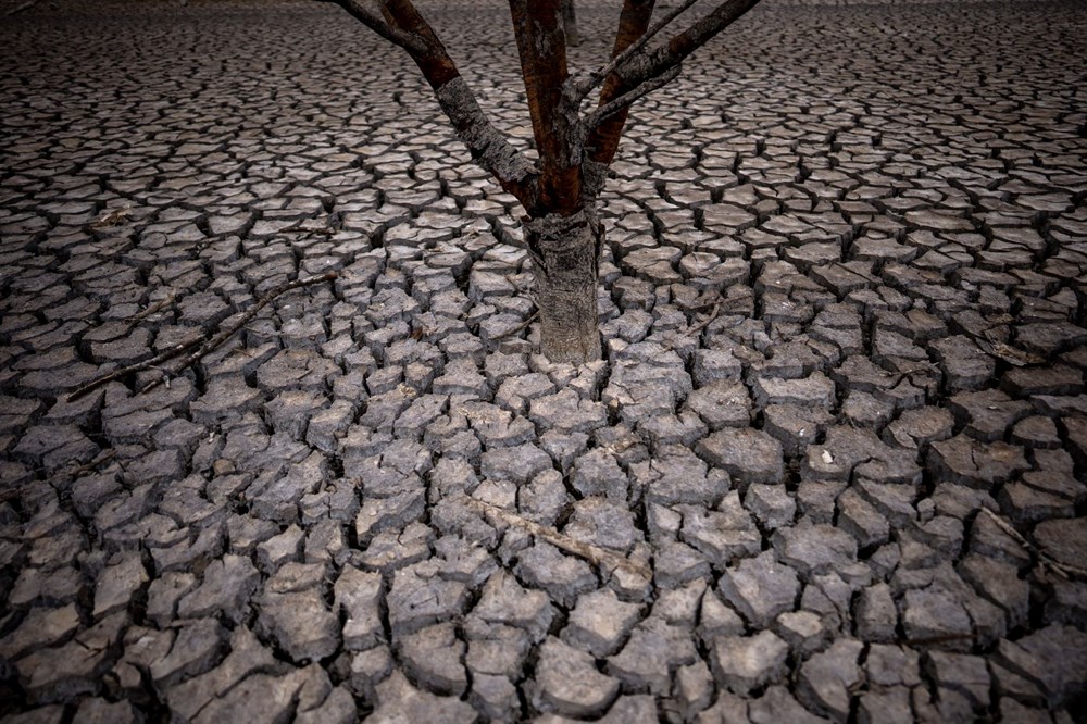 İspanya'da tarihinin en kötü kuraklığı: Halk deniz suyu içmeye başladı - 5