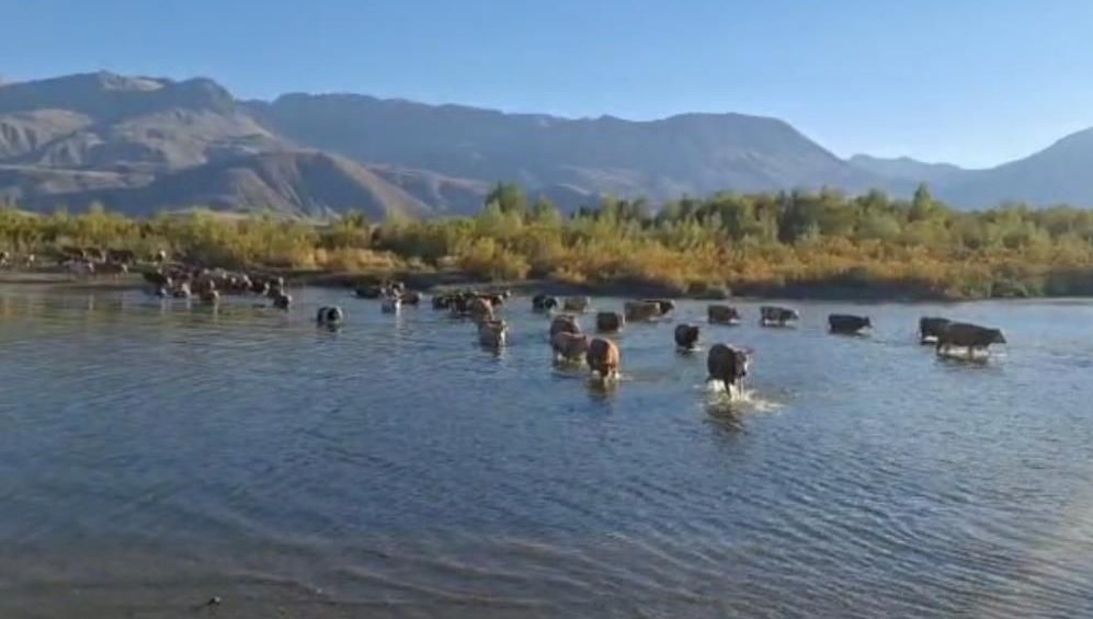Erzincan'da kuraklığın fotoğrafı