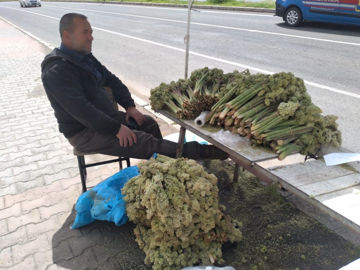 ahQoXruljE-WERYzEgKfpA.jpg