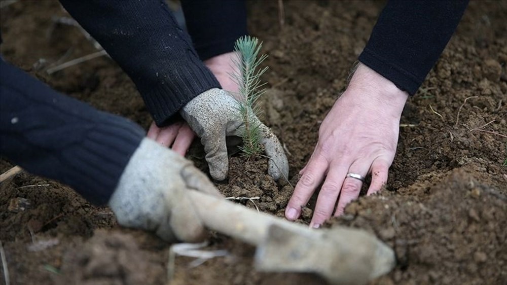 Tarım ve Orman Bakanlığı 2025 İşçi Alımı: 8500 Kişilik Kadroya Ne Zaman Kavuşulacak, Başvuru Şartları Neler Olacak? 76 ah 5 WxVY0ieMT0 qzDEmg