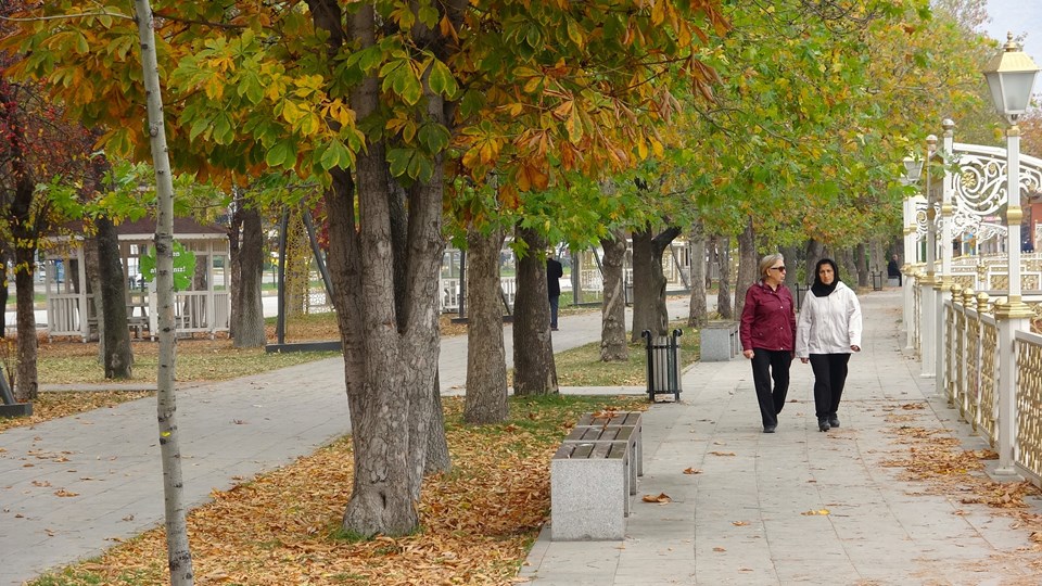 Tokat'ta sonbahar yapraklarının süpürülmesi yasaklandı - 1