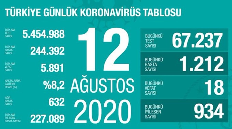 12 Ağustos 2020 corona virüs tablosu: 18 can kaybı, bin 212 vaka - 1