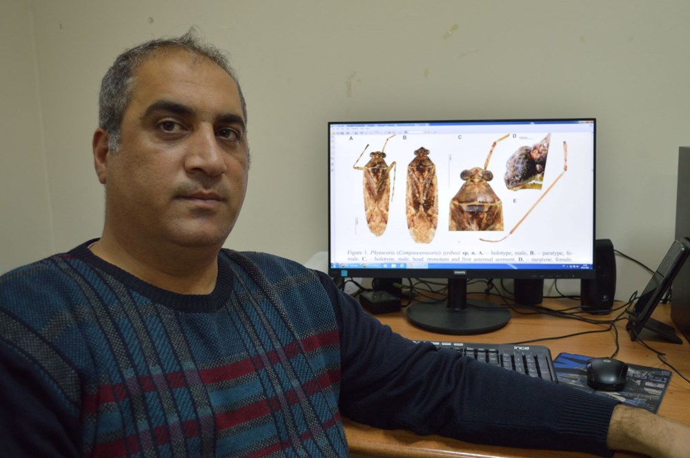 Keşfettikleri böceğe bakanın adını verdiler (Faydalı mı zararlı mı belli değil) - 5