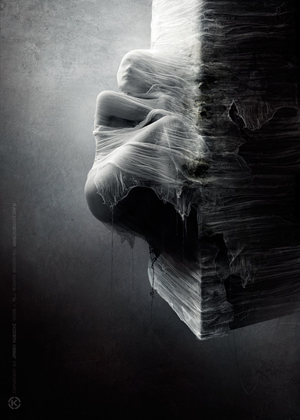 Художник Jarek Kubicki