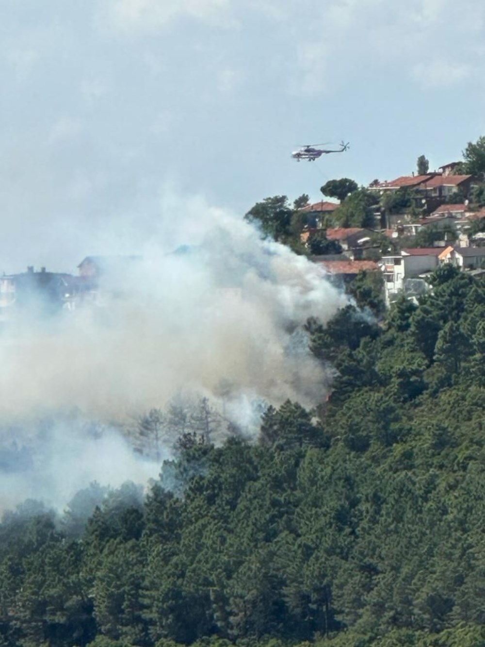 İstanbul Maltepe'de orman yangını - 2