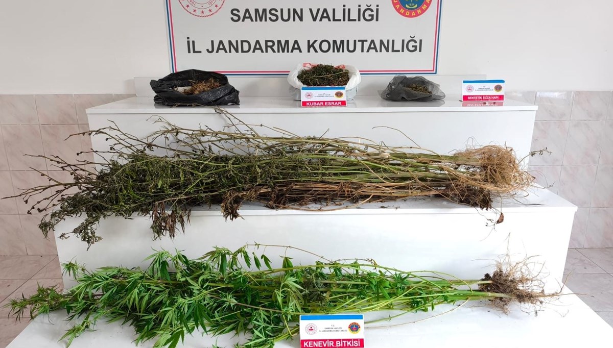 Samsun'da jandarma 2 kilo 355 gram esrar ele geçirdi Samsun'da jandarma 2 kilo 355 gram esrar ele geçirdi