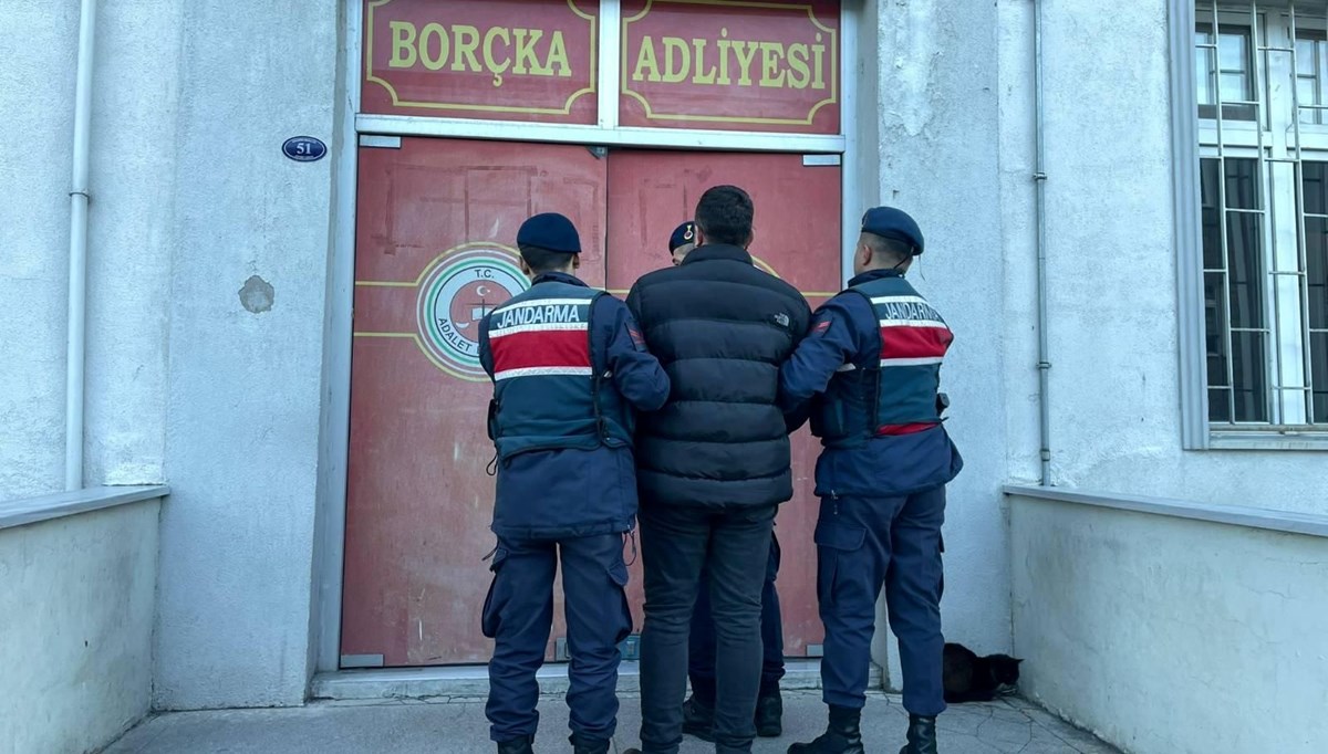 Artvin'de ormanda izinsiz kesimle ilgili bir kişiye gözaltı